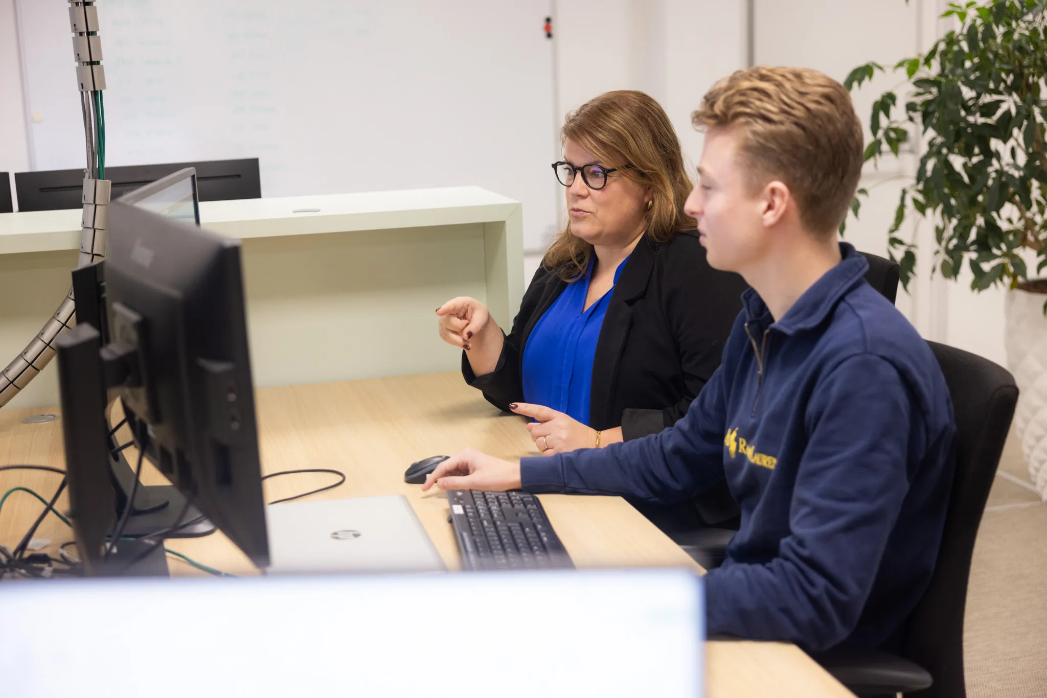 Subsidie voor inzet statushouders